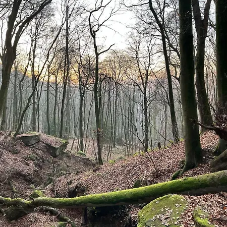 House - Sleeps 8 - Pets Ok - Garden - Parking Villa