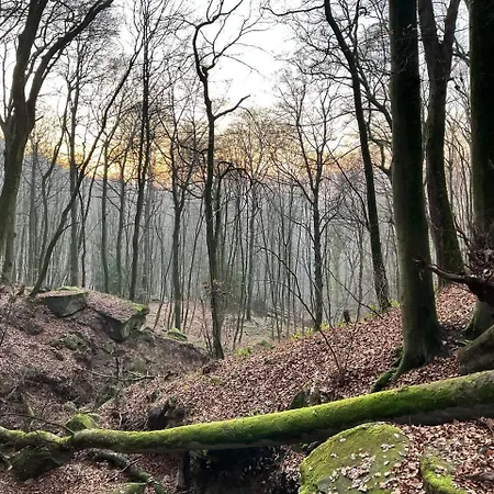 House - Sleeps 8 - Pets Ok - Garden - Parking Berdorf