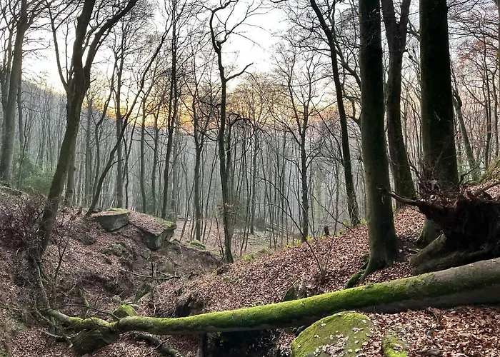 House - Sleeps 8 - Pets Ok - Garden - Parking Berdorf