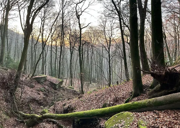 House - Sleeps 8 - Pets Ok - Garden - Parking Villa